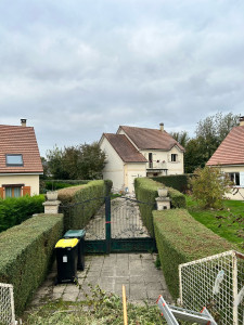 Photo de galerie - Taille de haies et d'arbustes