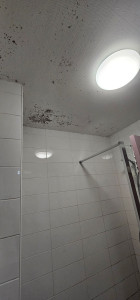 Photo de galerie - Nettoyage avant