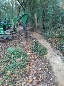 Photo de galerie - Tonte de pelouse - Débroussaillage