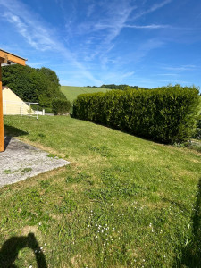 Photo de galerie - Tonte de pelouse - Débroussaillage
