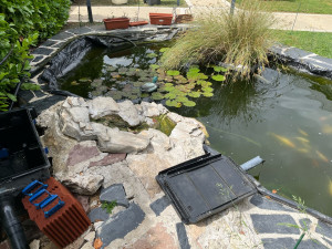 Photo de galerie - Entretien bassin à poissons 