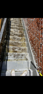 Photo de galerie - Nettoyage de terrase sur Dunkerque 