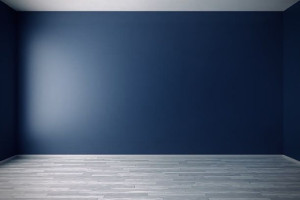 Photo de galerie - Peinture ?