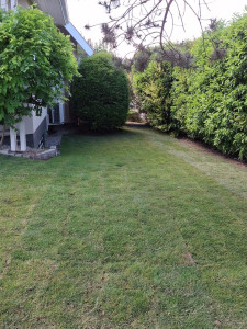 Photo de galerie - Aménagement de jardin 