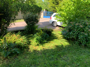 Photo de galerie - Tonte de pelouse - Débroussaillage
