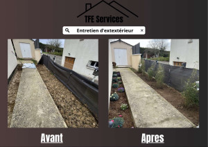 Photo de galerie - Aménagement d’une allée avec des bambous non invasives et parterre de fleurs.