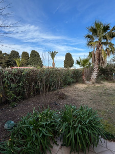 Photo de galerie - Taille-haies