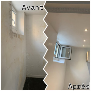 Photo de galerie - Peinture / Enduit