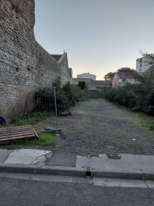 Photo de galerie - Tonte de pelouse - Débroussaillage