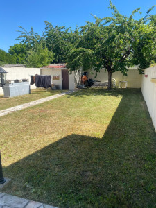 Photo de galerie - Tonte de pelouse 