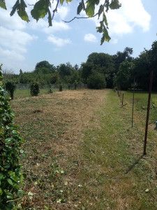 Photo de galerie - Après débroussaillage