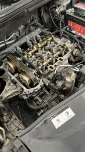 Photo de galerie - Distribution puretch