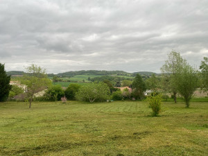 Photo de galerie - Tonte pelouse