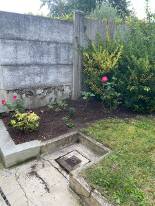 Photo de galerie - Tonte pelouse, désherbage 