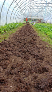 Photo de galerie - Jardinier