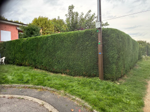 Photo de galerie - Taille 