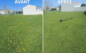 Photo de galerie - Tonte, de pelouse, voici le avant après