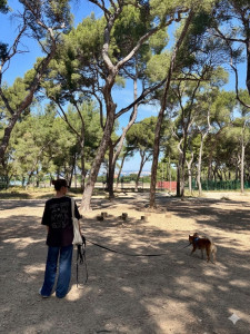 Photo de galerie - Balade avec Junior