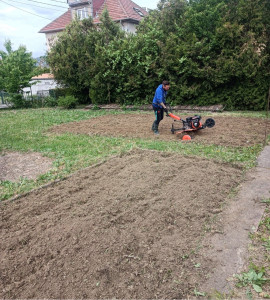 Photo de galerie - Création potager 