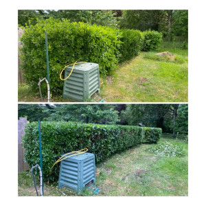 Photo de galerie - Taille de haies et d'arbustes