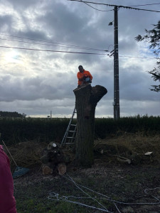 Photo de galerie - étêtage d’arbre clients satisfait 