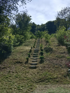 Photo de galerie - Tonte de pelouse - Débroussaillage