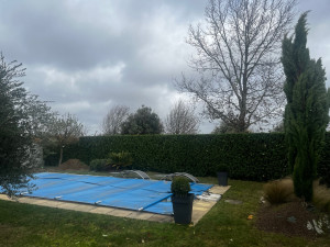 Photo de galerie - Taille de haies et d'arbustes