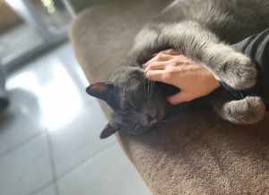 Photo de galerie - Amoureuse des animaux, patiente et bienveillante, je prends soin de vos compagnons comme s’ils étaient les miens <3