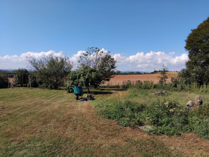 Photo de galerie - Remise en état, jardin laissé à l'abandon 