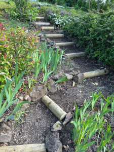 Photo de galerie - Nettoyage d’un massif et mise en forme d’un escalier en rondin de bois 