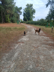 Photo de galerie - Promenade en forêt 