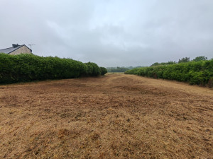 Photo de galerie - Avant/Après