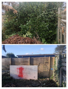 Photo de galerie - Elagage et coupe d'arbres