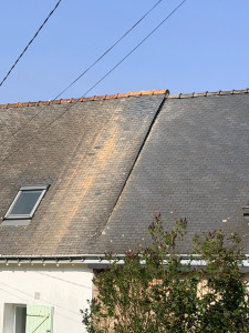 Photo de galerie - Couverture - Toiture