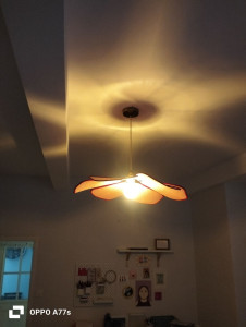 Photo de galerie - Accroche lustre au style fleurs 