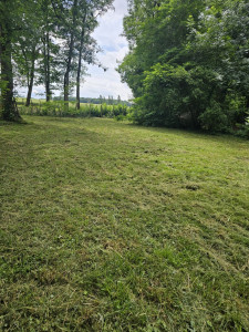 Photo de galerie - Tonte de pelouse - Débroussaillage