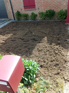 Photo de galerie - Paysagiste - Aménagement du jardin