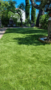 Photo de galerie - Pose de gazon synthétique terminé 