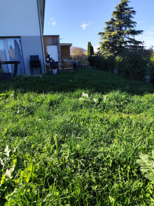 Photo de galerie - Avant 