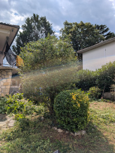 Photo de galerie - Entretien jardin 