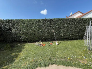 Photo de galerie - Taille de haies et d'arbustes