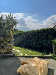 Photo de galerie - Taille de haie 