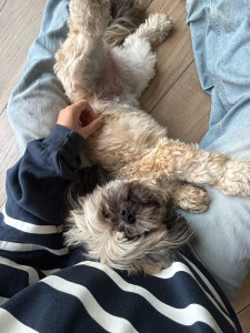 Photo de galerie - Roxy qui veut toujours plus de câlin ? 