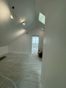 Photo de galerie - Peinture avec pistolet airelles 