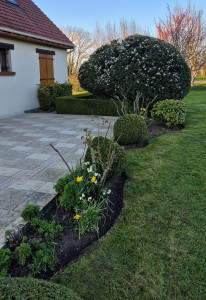 Photo de galerie - Paysagiste - Aménagement du jardin