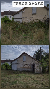 Photo de galerie - Tonte de pelouse - Débroussaillage