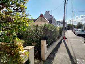 Photo de galerie - Haie après la taille