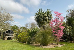 Photo de galerie - Mon jardin privé 