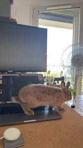 Photo de galerie - Garde animaux