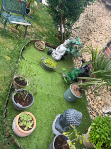 Photo de galerie - Jardin zen ? 